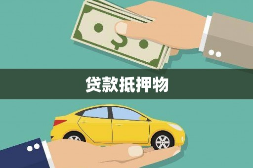金普新区贷款抵押物