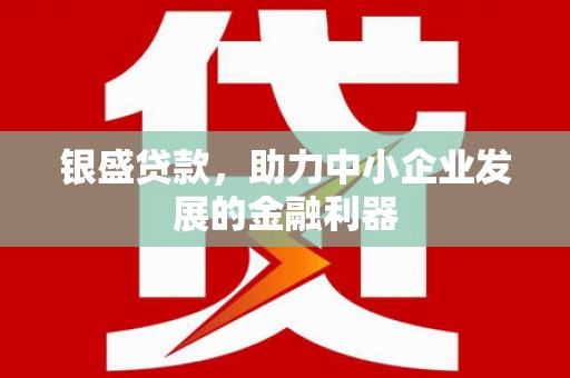 金普新区银盛贷款，助力中小企业发展的金融利器