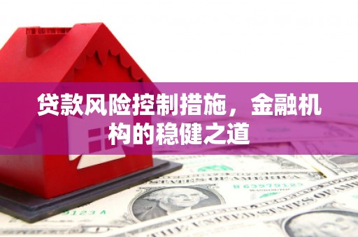 金普新区贷款风险控制措施，金融机构的稳健之道