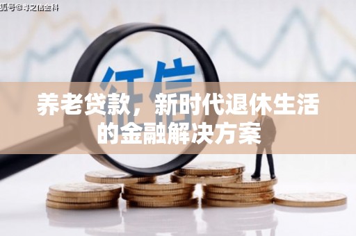 金普新区养老贷款，新时代退休生活的金融解决方案