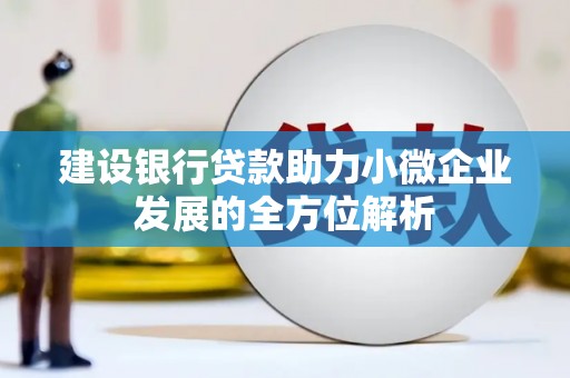 金普新区建设银行贷款助力小微企业发展的全方位解析