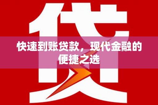 金普新区快速到账贷款，现代金融的便捷之选