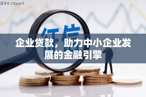 金普新区企业贷款，助力中小企业发展的金融引擎