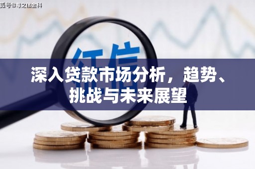 金普新区深入贷款市场分析，趋势、挑战与未来展望