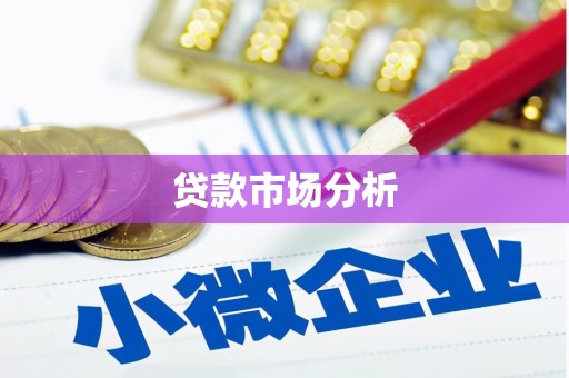 金普新区贷款市场分析