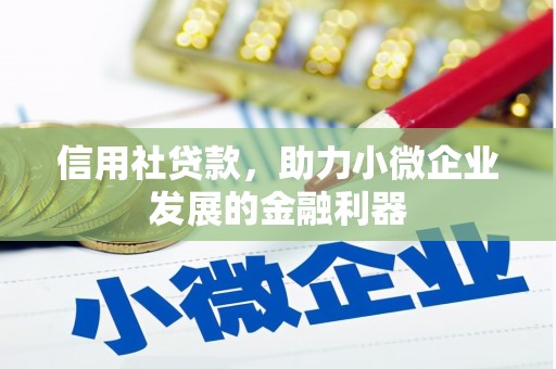 金普新区信用社贷款，助力小微企业发展的金融利器