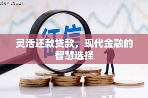 金普新区灵活还款贷款，现代金融的智慧选择