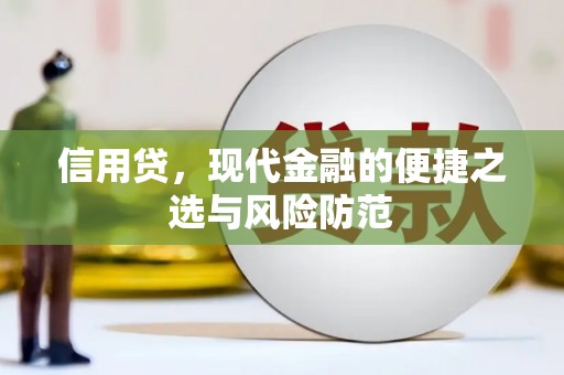 金普新区信用贷，现代金融的便捷之选与风险防范