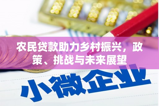 金普新区农民贷款助力乡村振兴，政策、挑战与未来展望