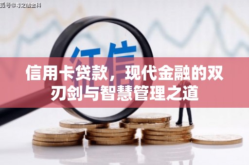 金普新区信用卡贷款，现代金融的双刃剑与智慧管理之道