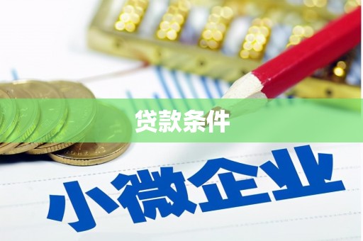 金普新区贷款条件