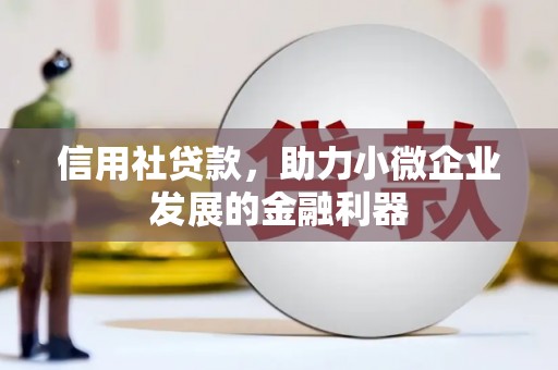金普新区信用社贷款，助力小微企业发展的金融利器