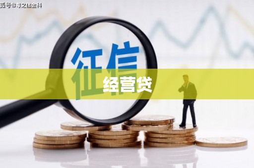 金普新区经营贷