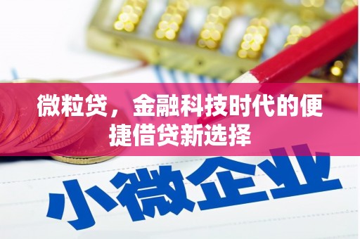 金普新区微粒贷，金融科技时代的便捷借贷新选择