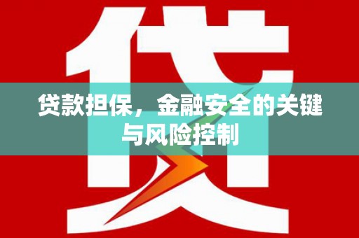 金普新区贷款担保，金融安全的关键与风险控制