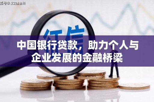 金普新区中国银行贷款，助力个人与企业发展的金融桥梁