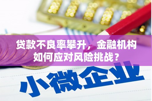 金普新区贷款不良率攀升，金融机构如何应对风险挑战？