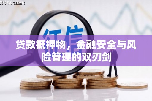 金普新区贷款抵押物，金融安全与风险管理的双刃剑