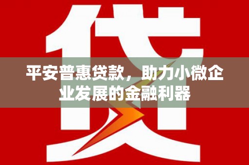 金普新区平安普惠贷款，助力小微企业发展的金融利器