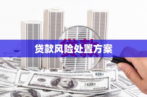 金普新区贷款风险处置方案