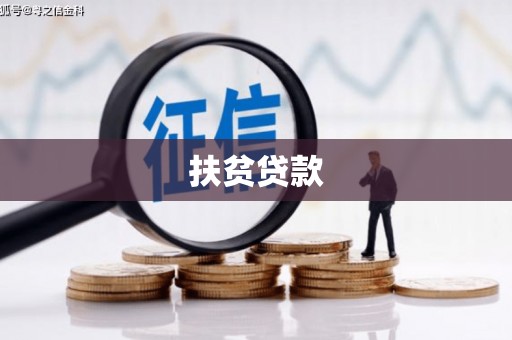 金普新区扶贫贷款