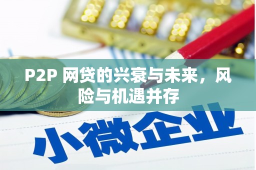 金普新区P2P 网贷的兴衰与未来，风险与机遇并存