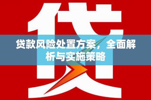 金普新区贷款风险处置方案，全面解析与实施策略