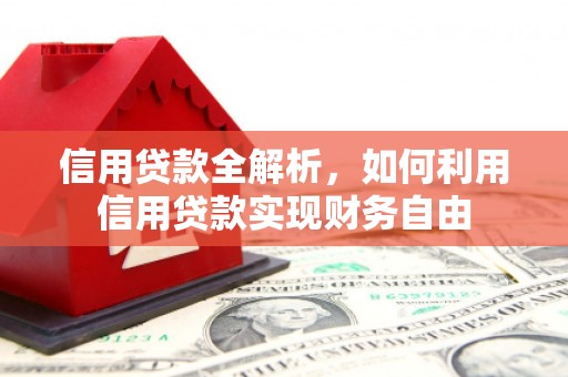 金普新区信用贷款全解析，如何利用信用贷款实现财务自由